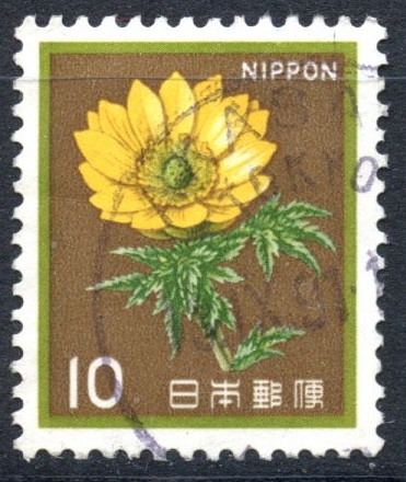 JAPON_SCOTT 1422.04 FLOR AMUR ADONIS. $0,20
