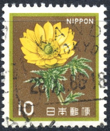 JAPON_SCOTT 1422.05 FLOR AMUR ADONIS. $0,20