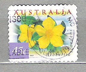 1999 Flora.