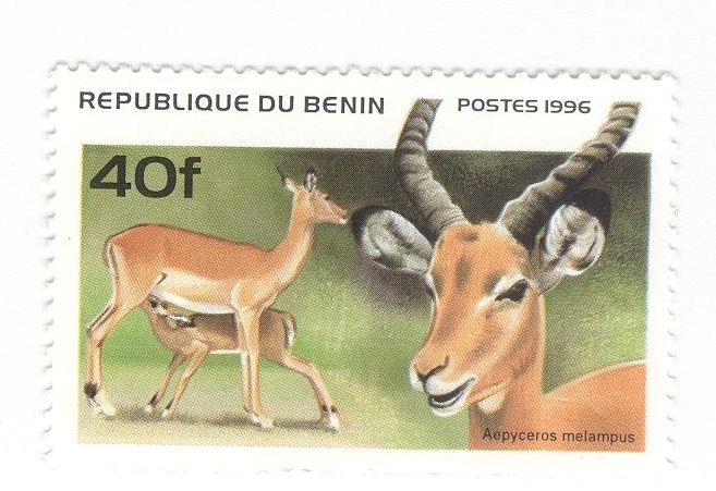 Impala sudafricano