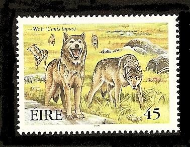 Animales extinguidos de Irlanda - Lobo