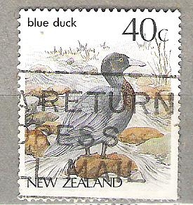 1987 Native Birds