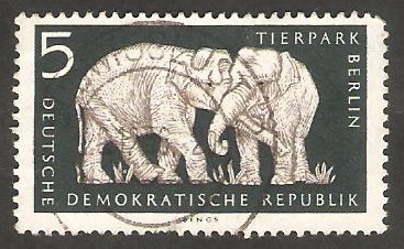 276 - Parque zoológico de Berlin, elefante