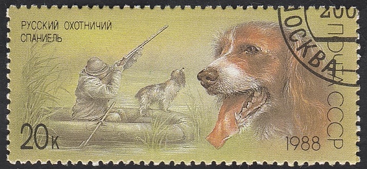 5514 - Perro de caza 