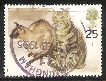 Gatos