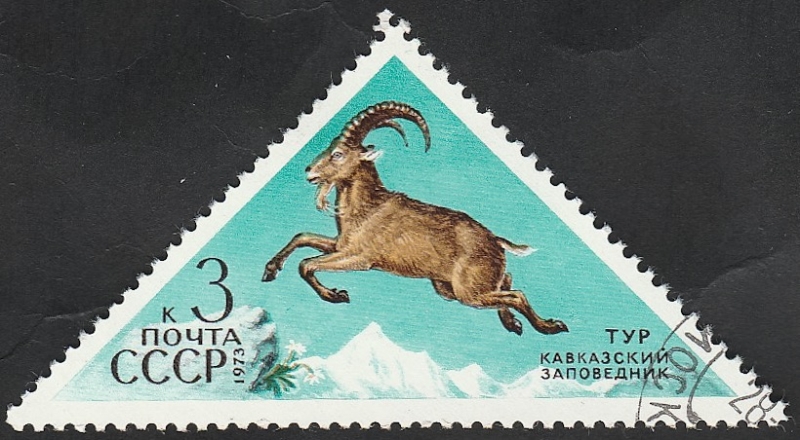 3946 - Fauna de la URSS, carnero