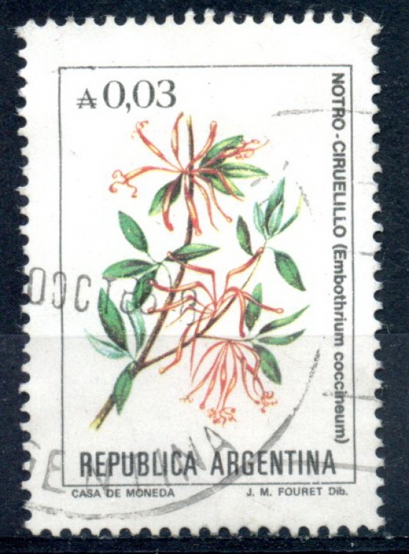 ARGENTINA_SCOTT 1518 NOTRO-CIRUELILLO. $0.20