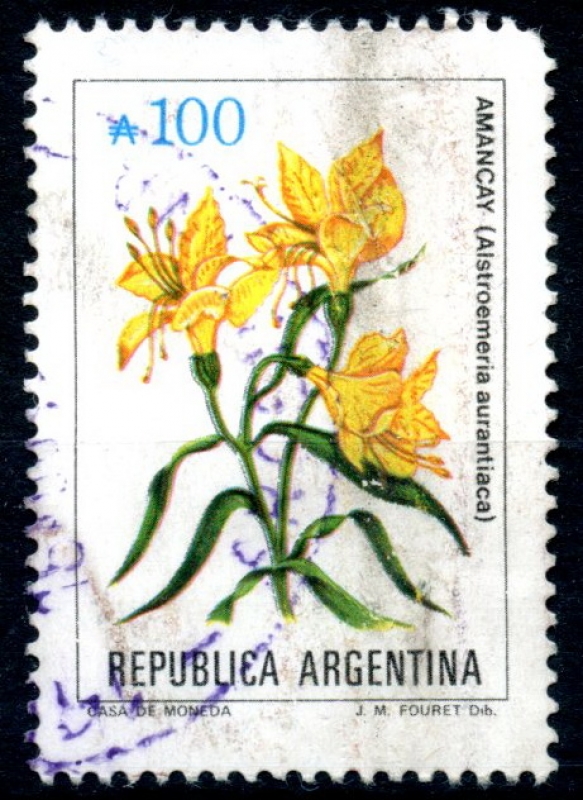 ARGENTINA_SCOTT 1686.01 AMANCAY. $0.25