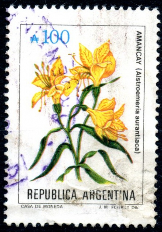 ARGENTINA_SCOTT 1686.04 AMANCAY. $0.25