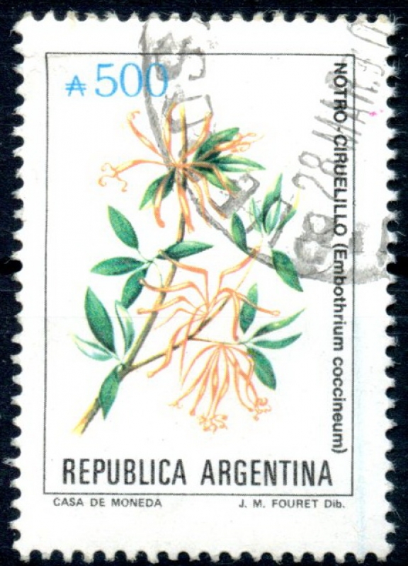 ARGENTINA_SCOTT 1688 NOTRO-CIRUELILLO. $0.40