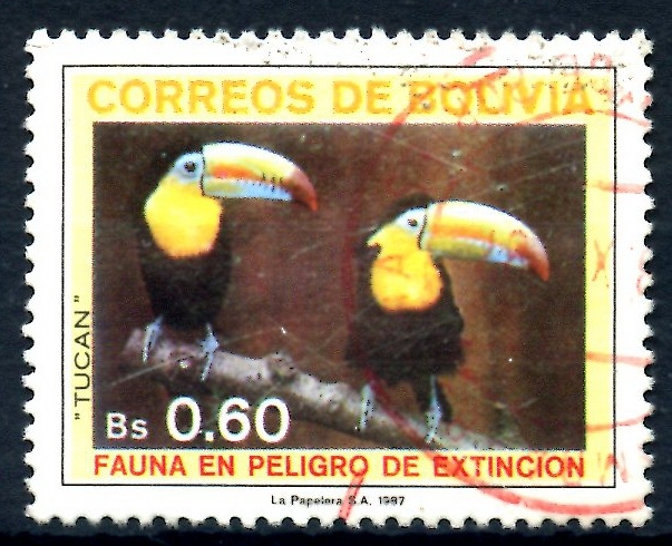 BOLIVIA_SCOTT 747.01 TUCAN, FAUNA EN PELIGRO