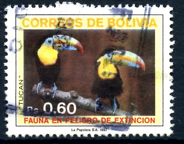 BOLIVIA_SCOTT 747.02 TUCAN, FAUNA EN PELIGRO