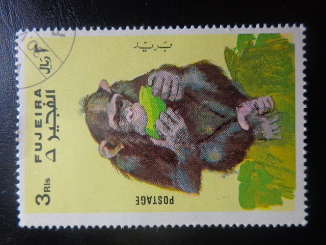 los monos de la serie