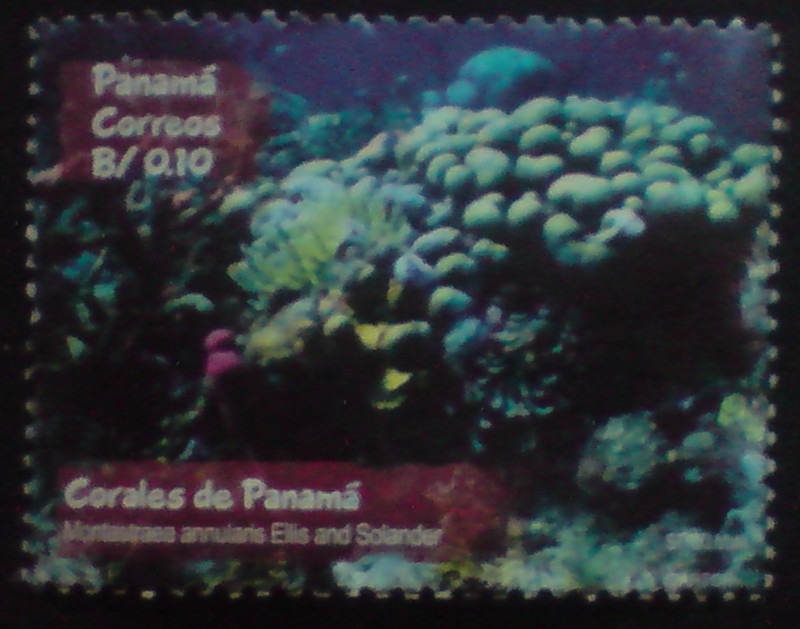 Corales de Panamá