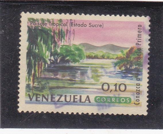 PAISAJE TROPICAL (ESTADO SUCRE)