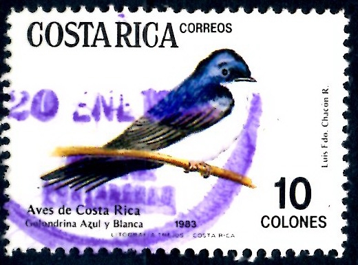 COSTA RICA_SCOTT 292.01 NOTIOCHELINDON CYANOLEUCA. $0,30