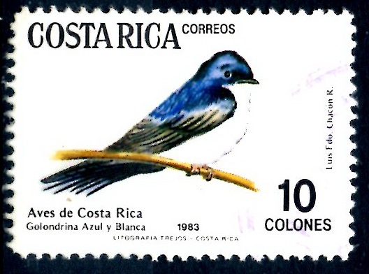 COSTA RICA_SCOTT 292.03 NOTIOCHELINDON CYANOLEUCA. $0,30