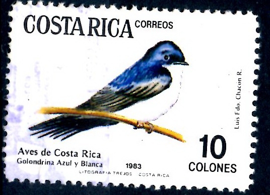 COSTA RICA_SCOTT 292.04 NOTIOCHELINDON CYANOLEUCA. $0,30
