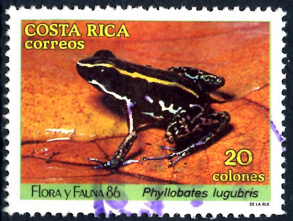 COSTA RICA_SCOTT 384.02 PHYLLOBATES LUGUBRIS. $0,20