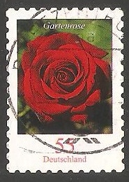 Rosa