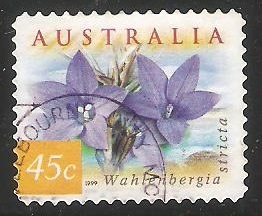 Wahlenbergia Stricta