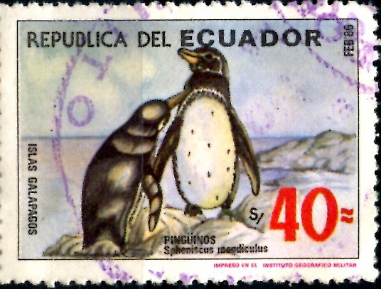 ECUADOR_SCOTT 1118 ISLAS GALAPAGOS, PINGÜINOS. $1,00
