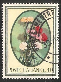  Claveles Dianthus 