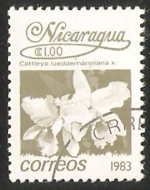 Cattleya lueddemanniana