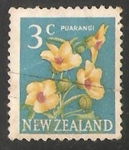 Puarangi (Hibiscus).