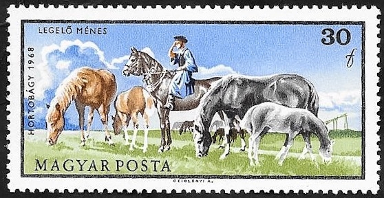 1975 - Caballos en Puszta