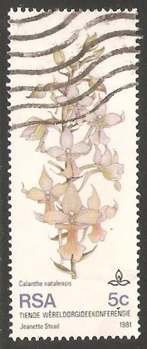 Orquidea