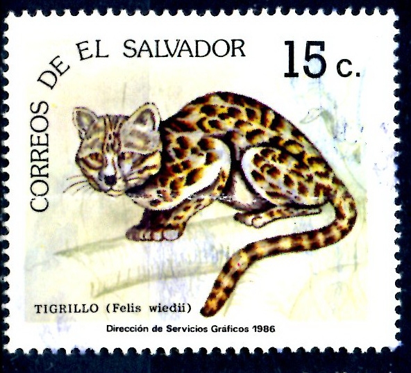 EL SALVADOR_SCOTT 1091.01 TIGRILLO. $0,20