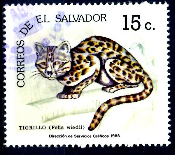 EL SALVADOR_SCOTT 1091.02 TIGRILLO. $0,20