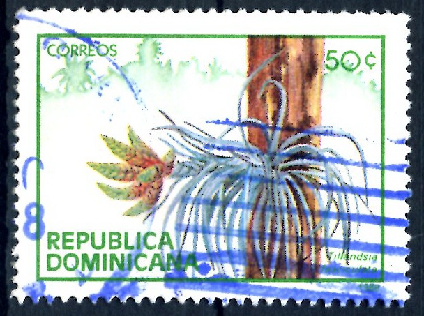 REP DOMINICANA_SCOTT 1021 TILANDSIA FASCICULATA. $0,55