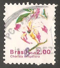 Chorisia crispiflora