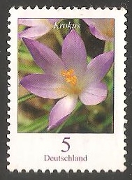 Krokus