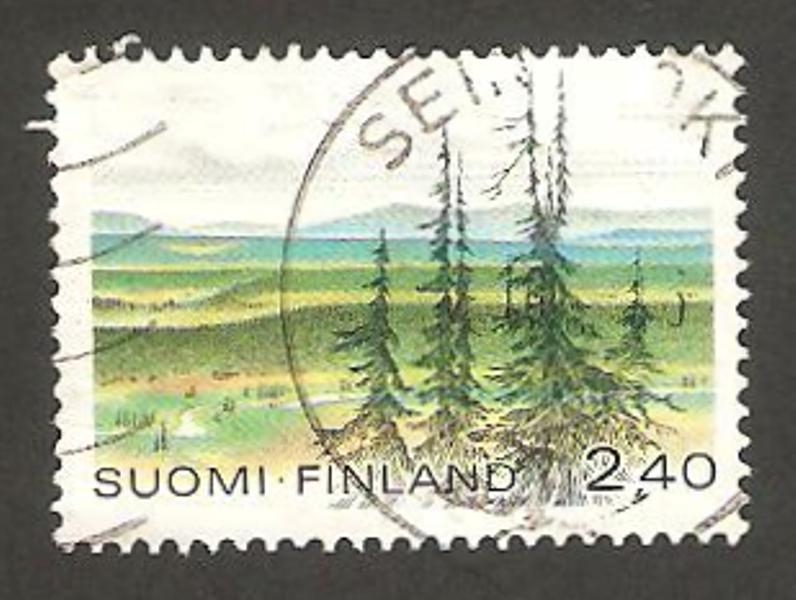 1001 - Parque nacional de Urho Kekkonen 