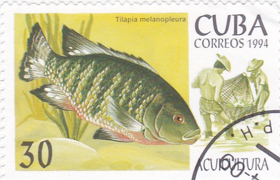 ACUICULTURA