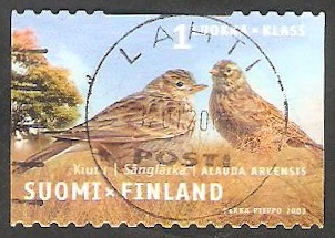 1596 - Pájaros