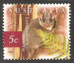 Leadbeater's possum-