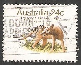 Tasmanian tiger-lobo marsupial 