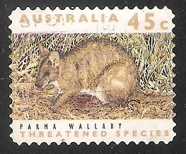 Parma Wallaby 