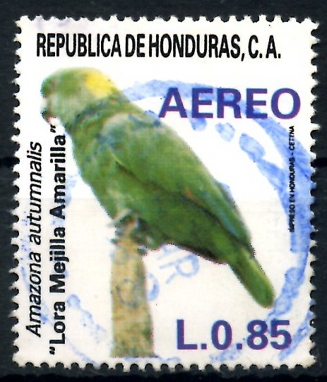 HONDURAS_SCOTT C760.01 LORA MEJILLA AMARILLA. $0,65