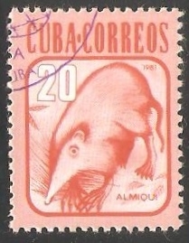 Almiqui