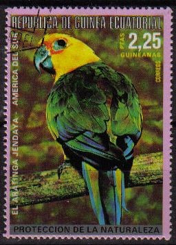 GUINEA ECUATORIAL 1974 487 Sello Pájaros Americanos ARATINGA JENDAYA
