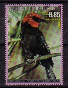 GUINEA ECUATORIAL 1976 1008 Sello Pájaros Norte Americanos EL TANAGRIDOS