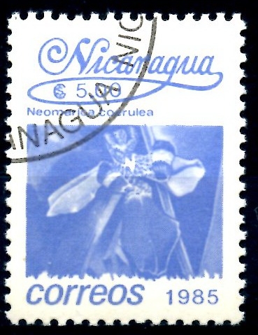 NICARAGUA_SCOTT 1522 NEOMARICA COERULEA. $0,20