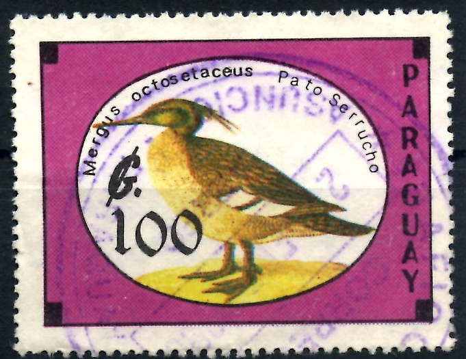 PARAGUAY_SCOTT 2301 AVES EN PELIGRO EXTINCION, PATO SERRUCHO. $0,20