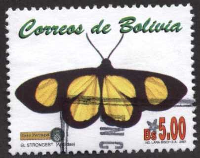 Mariposas