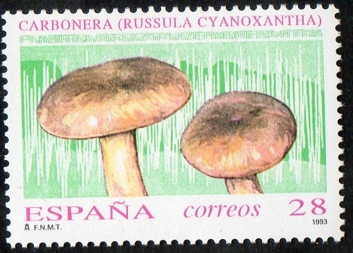3246 - Micología. Russula cyanoxantha.